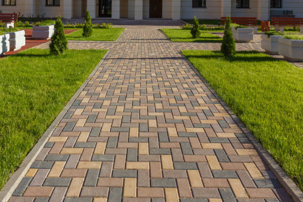 Best Driveway Paving Near Me  in Mammoth, AZ